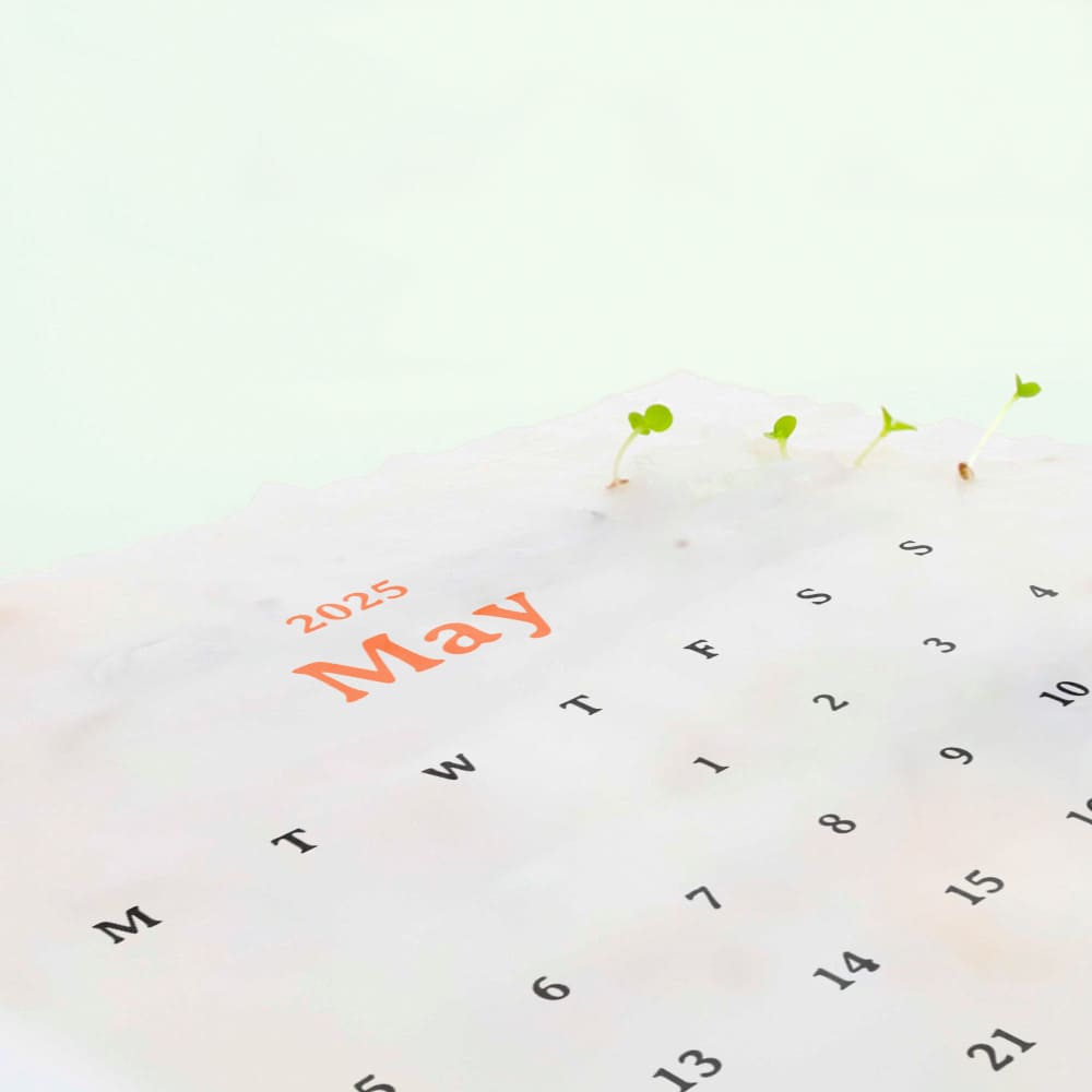 mediadesign_16973