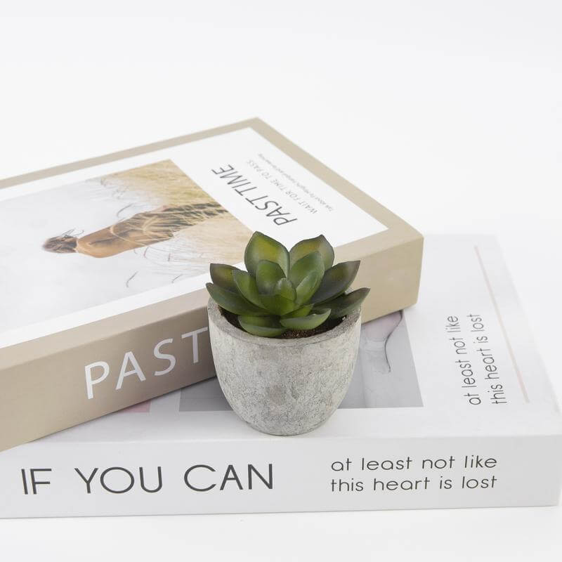 mediadesign_18660