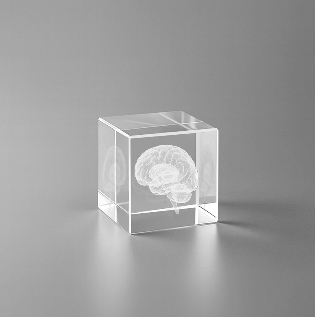 SH4013 - CUBISCENT - 02.jpg