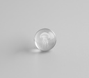 SH5009 - Orbina - Branding.jpg