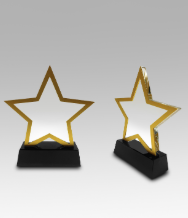   elegant star-shaped Starluxe stand, made in polished gold with a solid black base, brings a celebratory touch to a trophy display.
