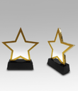   elegant star-shaped Starluxe stand, made in polished gold with a solid black base, brings a celebratory touch to a trophy display.