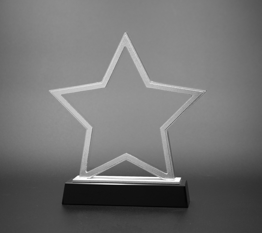   elegant star-shaped Starluxe stand, made in polished silver with a solid black base, brings a celebratory touch to a trophy display.