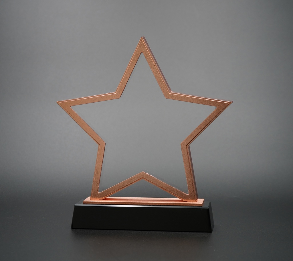   elegant star-shaped Starluxe stand, made in polished bronze with a solid black base, brings a celebratory touch to a trophy display.