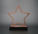   elegant star-shaped Starluxe stand, made in polished bronze with a solid black base, brings a celebratory touch to a trophy display.