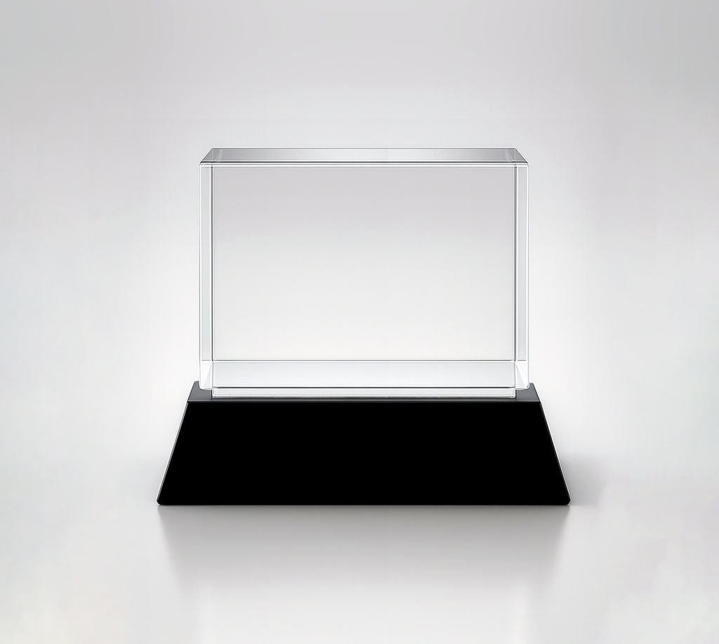 The EngraRect trophy features a clear rectangular crystal block on a glossy black base, offering a professional look. Ideal for versatile engraving options to suit any achievement.
