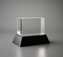 The EngraRect trophy features a clear rectangular crystal block on a glossy black base, offering a professional look. Ideal for versatile engraving options to suit any achievement.