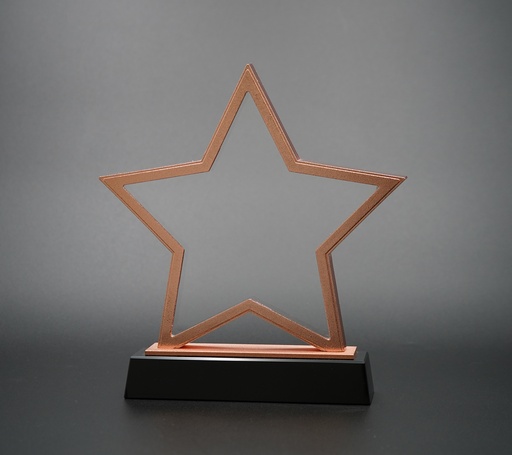 [SH2020]   elegant star-shaped Starluxe stand, made in polished bronze with a solid black base, brings a celebratory touch to a trophy display.